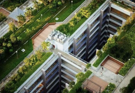 Green Building & Sustainability