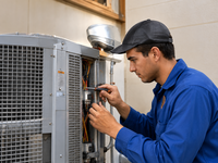 HVAC & Electrical Systems